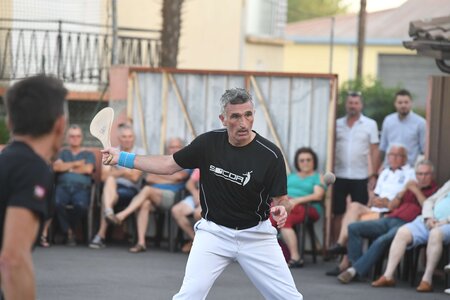 Défi platanes 2019, DSC_2530-comp