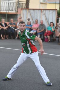 Défi platanes 2019, DSC_2555-comp