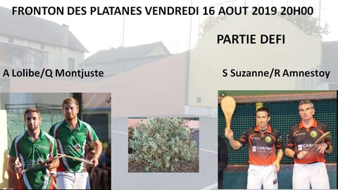 Défi platanes 2019, Partie defi 2019-comp