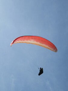 Poupet 2020 (On), IMG_8029