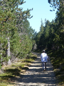 2020 08 26 Séjour Génolhac, 2020_08 25 Boucle du Pic Cassini 100