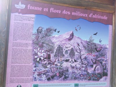 Les Fareaux-Laye, IMG_7144