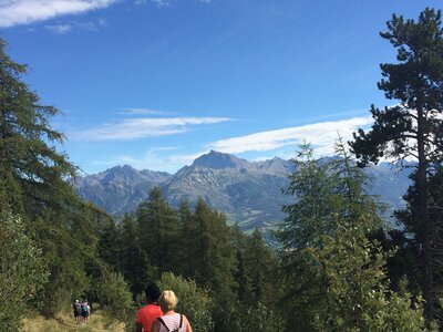 Les Fareaux-Laye, IMG_7145