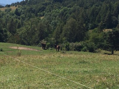Les Fareaux-Laye, IMG_7146