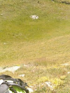 Tour de la Dent du Ratier Queyras Août 2020, 2020-08-12_13h42m12s