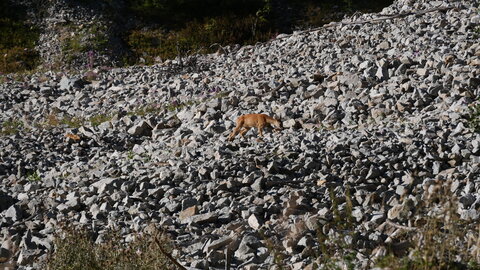 col du Cheval de Bois, P1033235