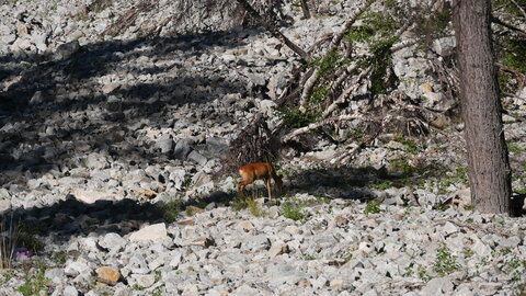 col du Cheval de Bois, P1033240