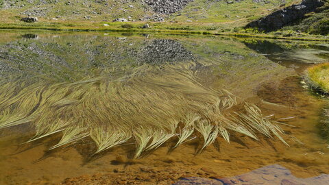 col du Cheval de Bois, P1033255