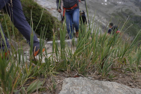 2020-08-24-30-mont-blanc, 2020-08-25-alpes-aventure-ecole-de-glace-12