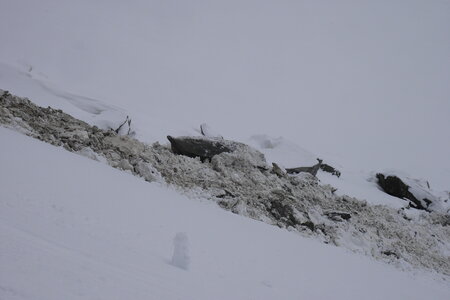 2020-08-24-30-mont-blanc, 2020-08-29-alpes-aventure-aiguilles-marbrees-19