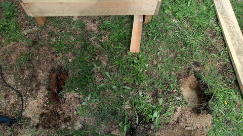 Lavernois vivrier 01 : mes premiers bacs potagers, Je ne m’explique pas cette différence de comportement à 1m d’écart…