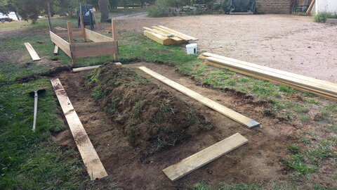 Lavernois vivrier 01 : mes premiers bacs potagers, P_20200828_174404