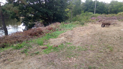 Lavernois vivrier 01 : mes premiers bacs potagers, Des remorques et des remorques de branches et de pelouse tondue gisent par là. (On s’en rend compte en regardant la hauteur du chêne, même s’il est implanté en bas d’un talus.)