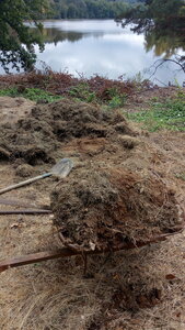 Lavernois vivrier 01 : mes premiers bacs potagers, Il faut penser à lever les yeux pour être soudain émerveillé par le contexte…
