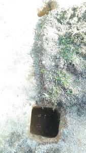 Lavernois vivrier 01 : mes premiers bacs potagers, Je ne m’attendais pas à ce que même ma technique pour creuser des trous s’améliore. Je les creuse volontairement plus ample que nécessaire, pour avoir de la marge, même si c’est laborieux.