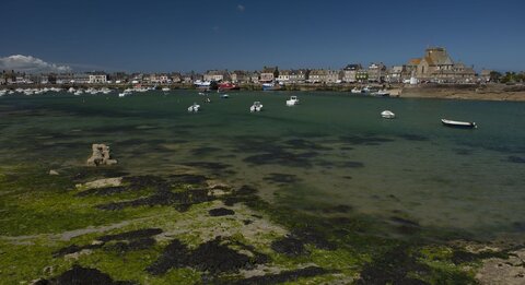 20200725-Réville, 20200728_13h05_189