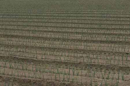 20200725-Réville, 20200729_15h24_301