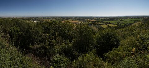 20200725-Réville, 20200730_12h02_348_Pan