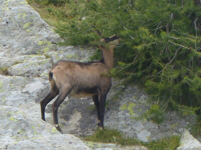 2020 09 11 Mercantour, 2020_09 08 Mercantour 106