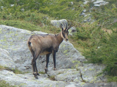 2020 09 11 Mercantour, 2020_09 08 Mercantour 107