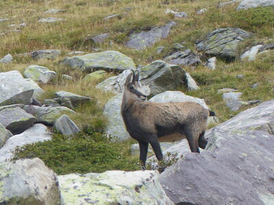 2020 09 11 Mercantour, 2020_09 08 Mercantour 108
