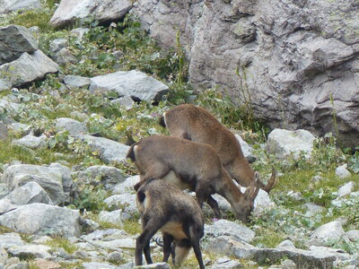 2020 09 11 Mercantour, 2020_09 09 Mercantour 154