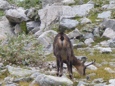 2020 09 11 Mercantour, 2020_09 09 Mercantour 155