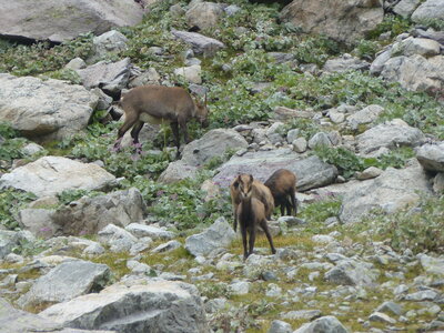 2020 09 11 Mercantour, 2020_09 09 Mercantour 156