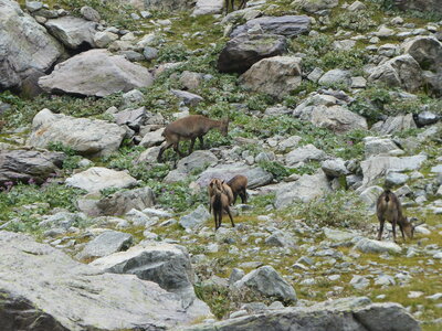 2020 09 11 Mercantour, 2020_09 09 Mercantour 157