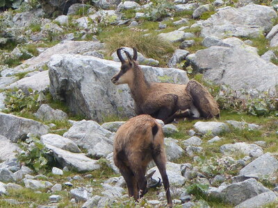 2020 09 11 Mercantour, 2020_09 09 Mercantour 158