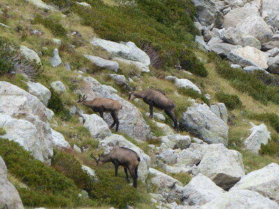 2020 09 11 Mercantour, 2020_09 09 Mercantour 162
