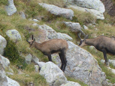 2020 09 11 Mercantour, 2020_09 09 Mercantour 163