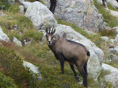 2020 09 11 Mercantour, 2020_09 09 Mercantour 164