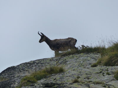 2020 09 11 Mercantour, 2020_09 09 Mercantour 165