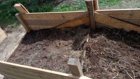 Lavernois vivrier 01 : mes premiers bacs potagers, Grossière erreur de débutant, du genre fatale ! bien flagrante depuis cet autre point de vue : de belles racines blanches… dont j’ai appris ensuite qu’elles étaient celles du liseron, soit la peste au potager… Je trouvais les fleurs blanches plutôt jolies. Malheur.