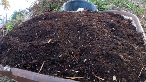 Lavernois vivrier 01 : mes premiers bacs potagers, N’empêche, elle semble bonne, cette terre…