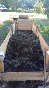 Lavernois vivrier 01 : mes premiers bacs potagers, Progressivement, et surtout lentement, je remplis ainsi mon bac…