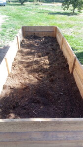 Lavernois vivrier 01 : mes premiers bacs potagers, Retour au premier bac, que je souhaite remplir avec des feuilles désormais, récupérées en forêt.