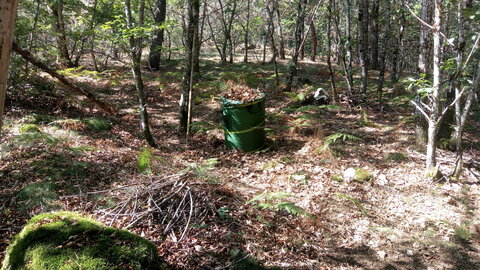 Lavernois vivrier 01 : mes premiers bacs potagers, Cette fois encore, je prends le temps de trier : je trouverai bien à faire usage des branches aussi… Et en effet, tas de branches et de pierres répartis dans le jardin et autour du potager font de bons hôtels à insectes et à faune sauvage, précieux auxiliaires qu’une herbe rase n’attire pas du tout… Là encore, même si la tâche est plutôt laborieuse, travailler dans ce contexte est tout sauf déplaisant…