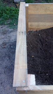 Lavernois vivrier 01 : mes premiers bacs potagers, Il me restait une planche d’1m, mais pour l’autre bac, je couperai à la bonne taille pour que ça recouvre en plus les côtés longs, ce qui m’évitera une découpe d’angle. J’ai gardé le bois le moins fissuré pour les côtés, celui pour ces rebords est nettement fissuré, mais ça semble solide tout de même. J’aurais dû mettre ma piètre découpe vers l’intérieur.