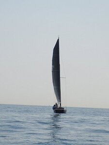 LES VOILES D ANTIBES 2020, 0183