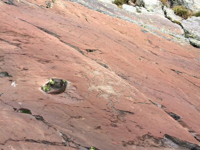Mercantour, IMG_7237