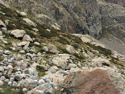 Mercantour, IMG_7268