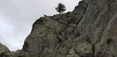 Mercantour, IMG_7269-1