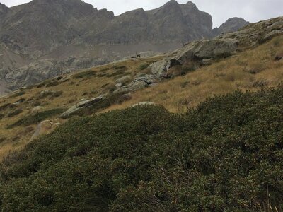 Mercantour, IMG_7310