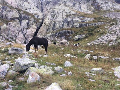 Mercantour, IMG_7321