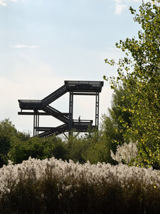 Fabien Magigue 2020, Forêt du Bourgailh, Pessac