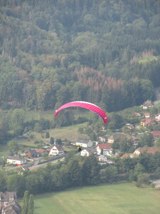 Sortie d'accompagnement Vosges du sud 2020, IMG_8639
