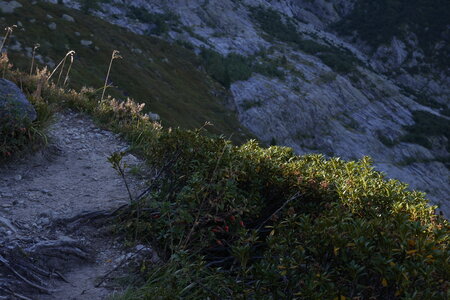 2020-09-14-20-mont-blanc, 2020-09-15-alpes-aventure-ecole-de-glace-08