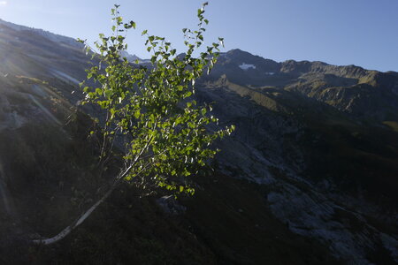 2020-09-14-20-mont-blanc, 2020-09-15-alpes-aventure-ecole-de-glace-10